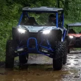 jungle-slider-2