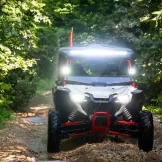 jungle-slider-3
